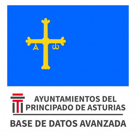 Base de Datos de Ayuntamientos de Asturias Avanzada