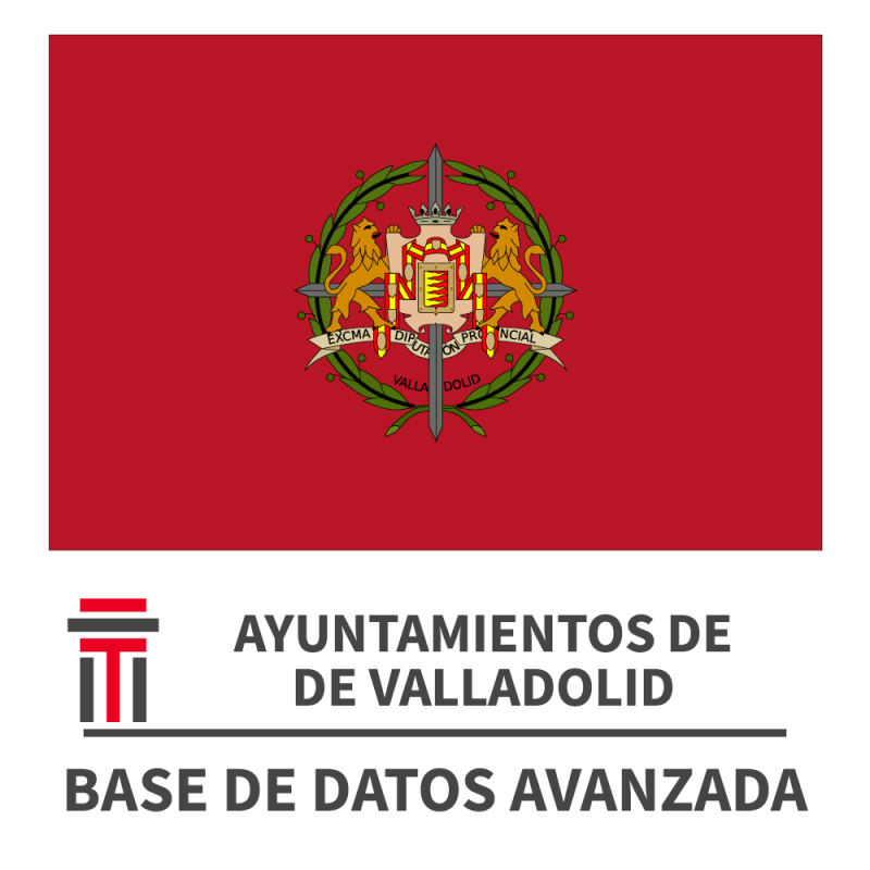 Base de Datos de Ayuntamientos de Valladolid Avanzada